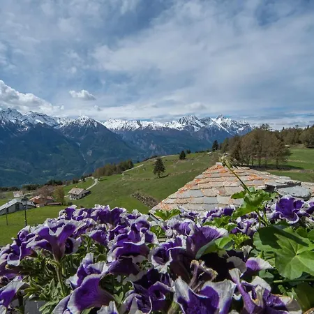 Di Charme Con Vista Meravigliosa Tatil Evi